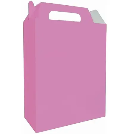 CAIXA SURPRESA KAIXOTE ROSA C/08 UN