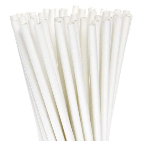CANUDO DE PAPEL SILVER PLASTIC LISO BRANCO C/12 UN