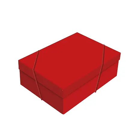 CAIXA CROMUS RETANG. TAMPA TAM. G 46X33X14 CHARMING RED