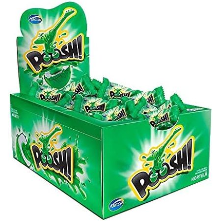 CHICLE ARCOR POOSH 200 GR HORTELA