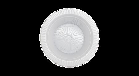 PRATO DESCARTAVEL LOURIFESTAS 25 CM BRANCO FUNDO C/10 UN