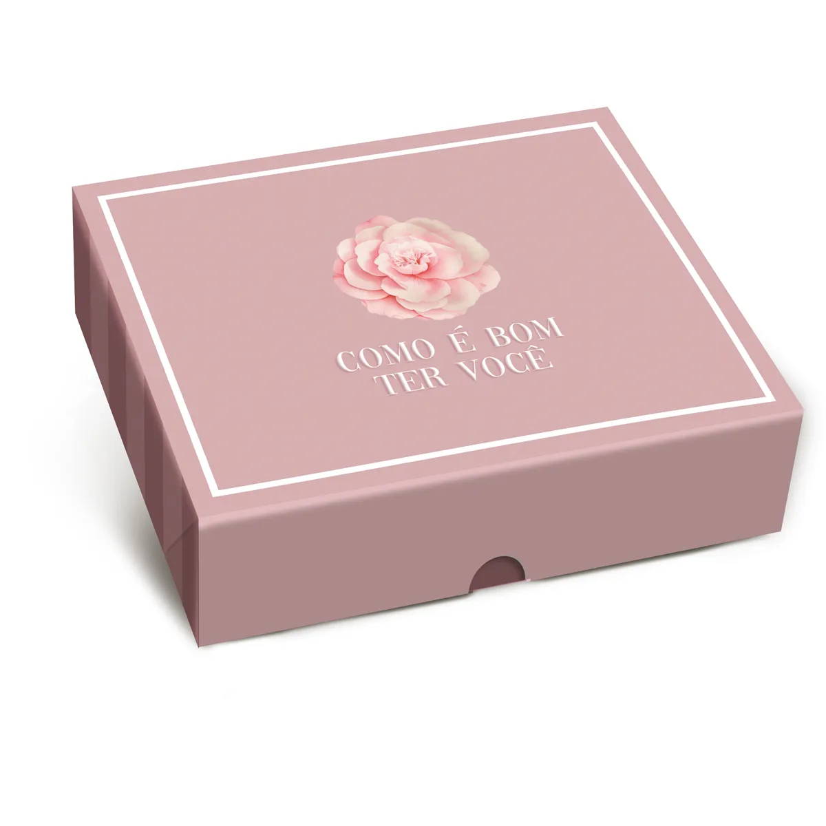 CAIXA CROMUS RETANG. TAMPA/FUNDO NEW G 30X24X6 CAMELIA