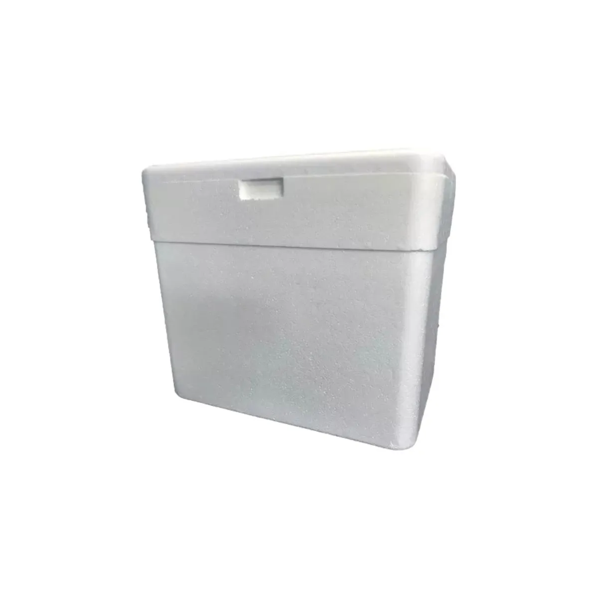 CAIXA TERMICA 13 LT KIISOTHERM