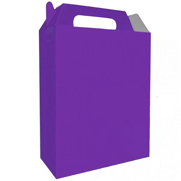 CAIXA SURPRESA KAIXOTE ROXO C/08 UN