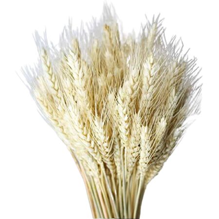 FLORES ARTIFICIAIS VIVA DEC TRIGO GRANDE
