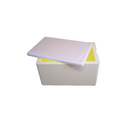 CAIXA DE ISOPOR 1 KG KIISOTHERM