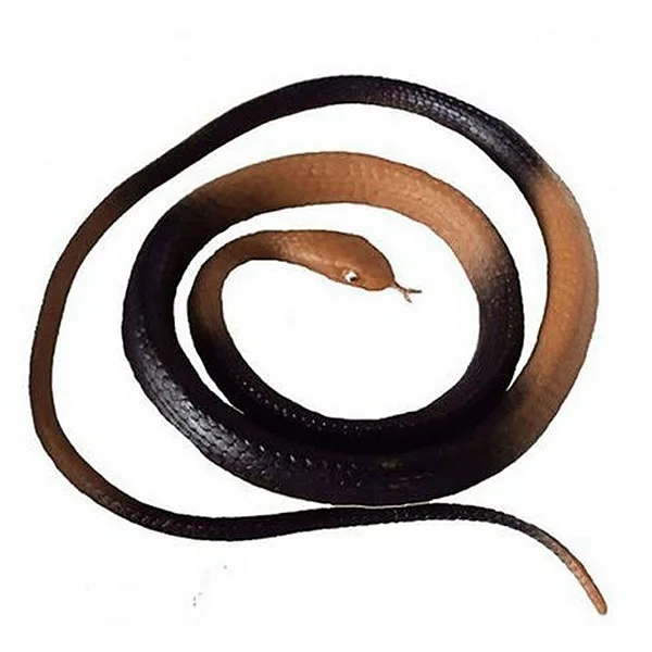 HALLOWEEN COBRA PEQUENA 01 UN BRASILFLEX