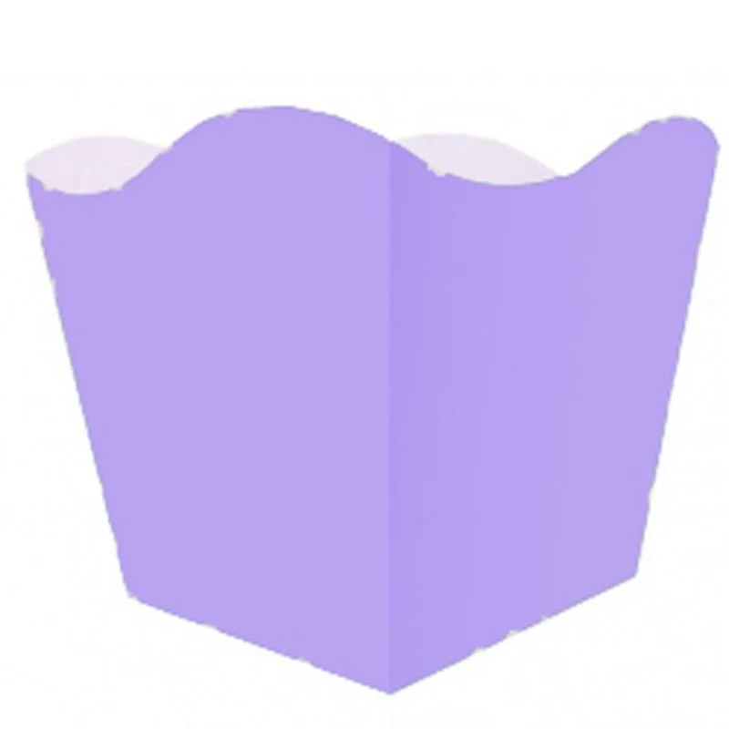 CACHEPOT KAIXOTE MED LILAS C/ 08 UN