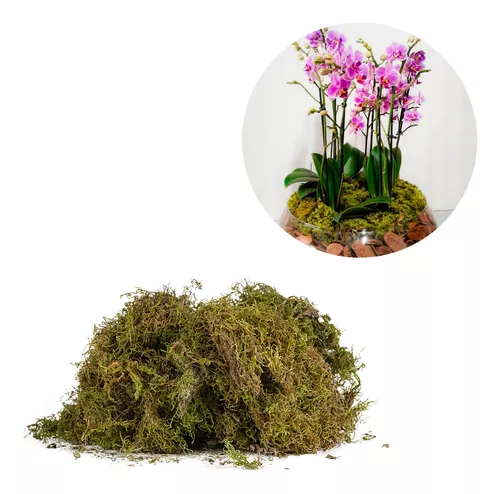 FLORES ARTIFICIAIS VIVA DEC MUSGO PEQUENO REF.10100