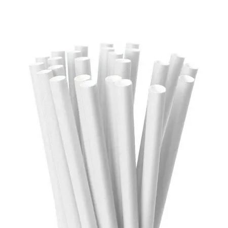 CANUDO DE PAPEL BPG LISO BRANCO C/25 UN REF. PA6070-CW