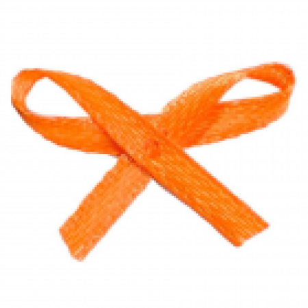 LACINHO HALLEY Nº 0 LARANJA C/100 UN REF. 25