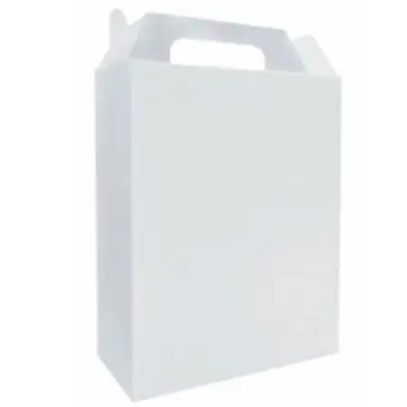 CAIXA SURPRESA KAIXOTE BRANCO C/08 UN