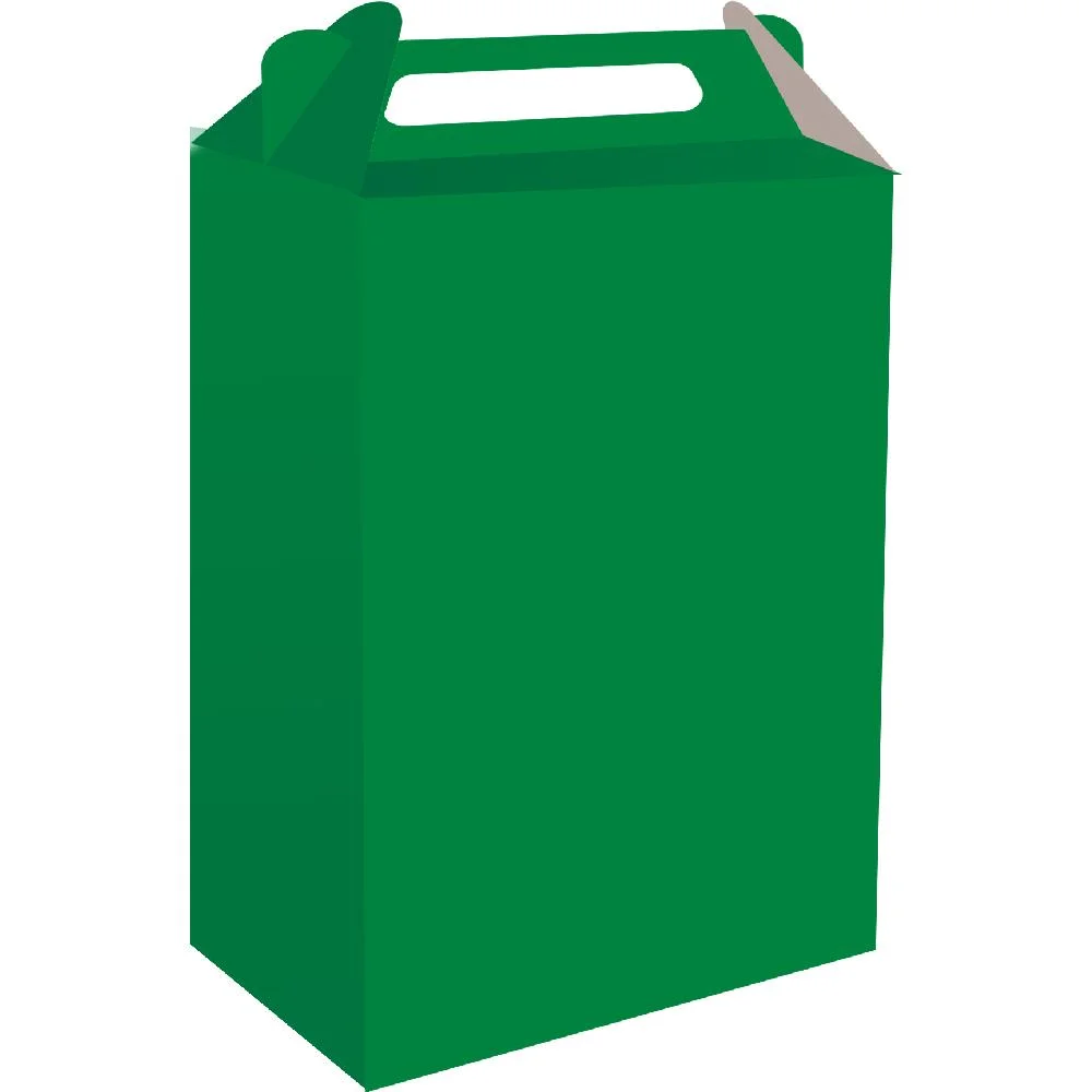 CAIXA SURPRESA KAIXOTE VERDE ESCURO C/08 UN