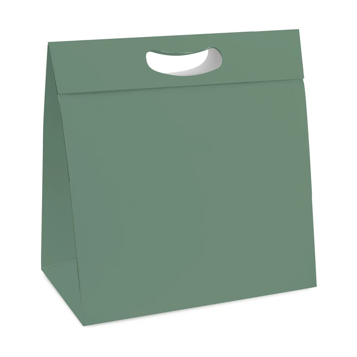 CAIXA CROMUS PLUS TAM. M 23X8,5X30 NATURAL GREEN