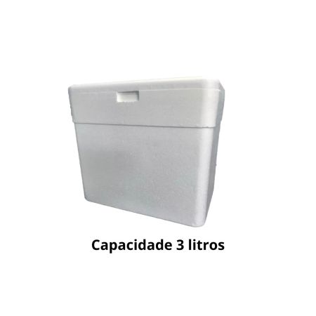 CAIXA TERMICA 03 LT KIISOTHERM